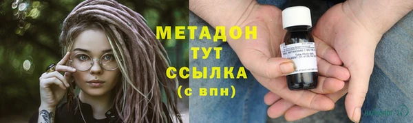 сатива Каменка