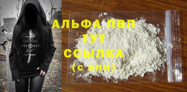 сатива Каменка
