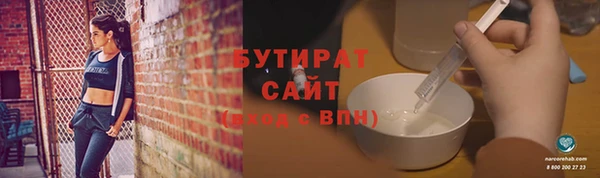 сатива Каменка