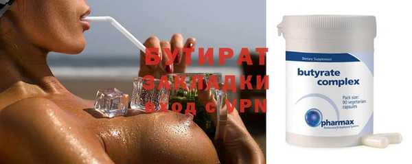 сатива Каменка