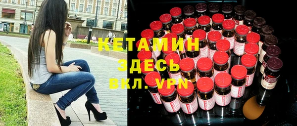 сатива Каменка