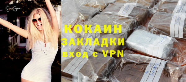 сатива Каменка
