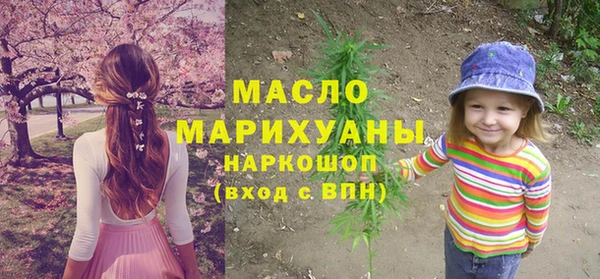 сатива Каменка