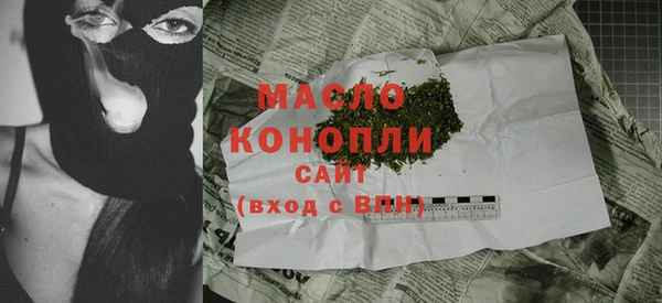 сатива Каменка