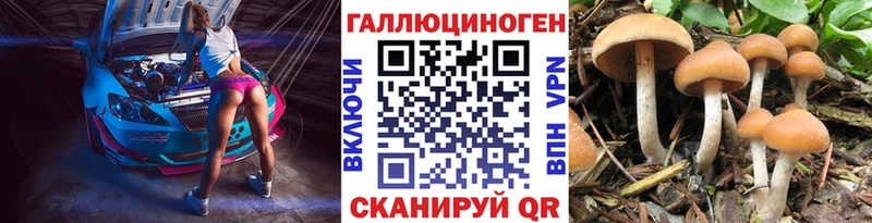 Псилоцибиновые грибы Psilocybine cubensis Северодвинск